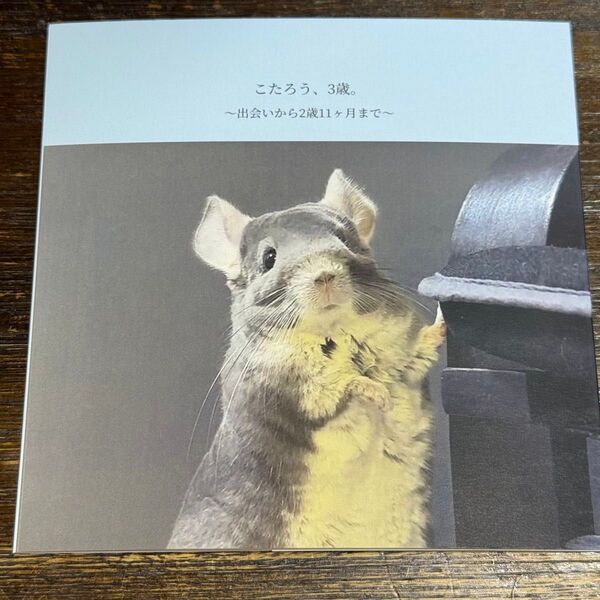 こたろう 1st Photo Book