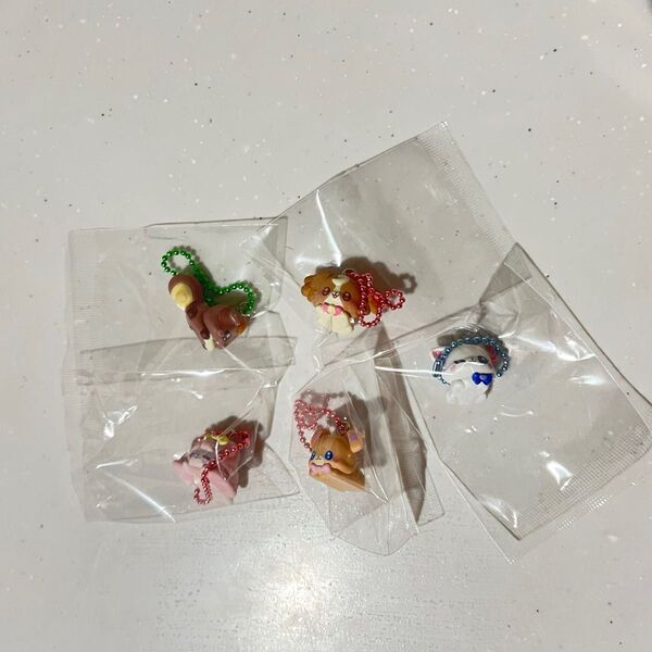 ぷちきゅあ マスコットwithチョコスナック