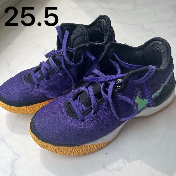 NIKE ナイキ ZOOM LEBRON NXXT GEN EP DR8788-500 ズーム レブロン パープル 25.5