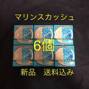 数量限定 値下げ 芳香剤 栄光社 エアースペンサー マリンスカッシュ 6個SET エアスペンサー 車用芳香剤
