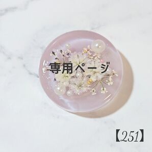 【251】ritさま 専用ページ