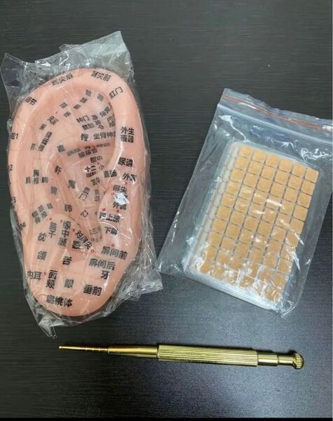 【新品】耳つぼ 模型 健康 マッサージ 足ツボ棒