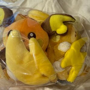 ポケモン 磁石でくっつくペアマスコット にたものどうし ライチュウ&アローラライチュウ マスコット ライチュウ アローラライチュウ