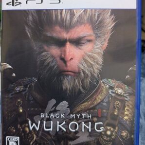 PS5 BLACK MYTH: WUKONG 黒神話 悟空 (中古品)