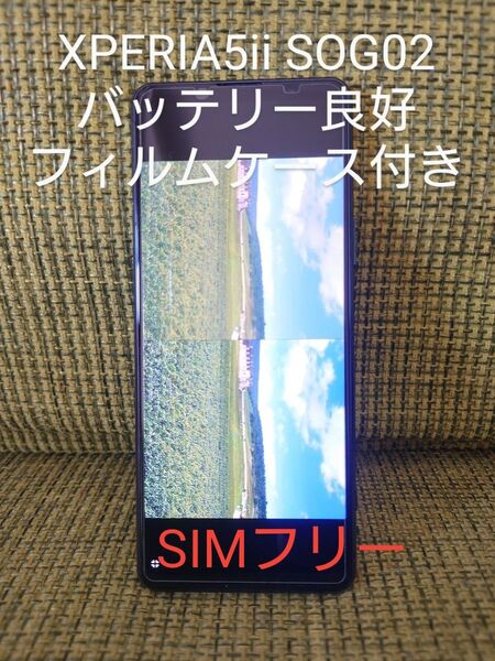 ☆SOG02 XPERIA5 ⅱ☆バッテリー良好 ガラスフィルム ケース付き SIMフリー