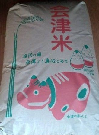 ひとめぼれ 会津産 玄米 30kg 令和6年産 全国送料無料 米専用箱