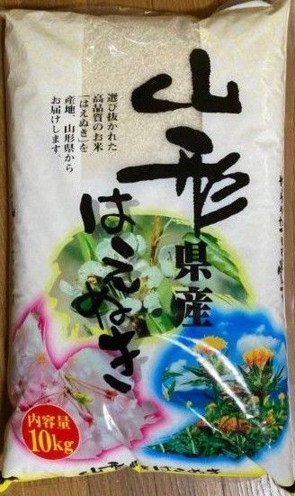 特A 山形県産 はえぬき 玄米 令和6年産 10kg 全国送料無料