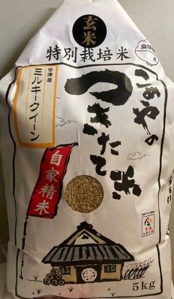 特別栽培米 会津産 ミルキークイーン 玄米 10kg (5kg×2) 令和6年産