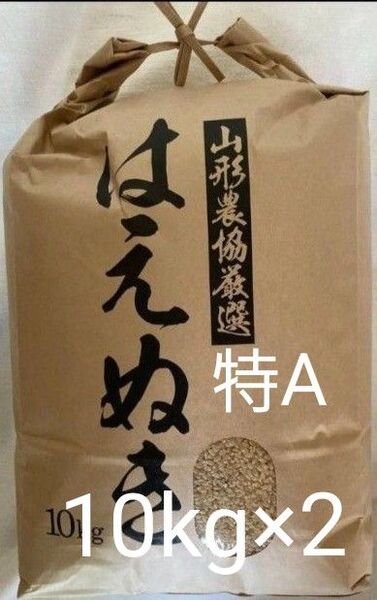 特A 山形県産 はえぬき 玄米 令和6年産 20kg 10kg×2袋 全国送料無料