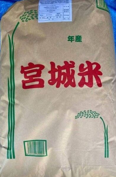 ササニシキ 希少品種 玄米 30kg 令和6年産 宮城県産 全国送料無料 米専用箱