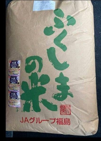 ひとめぼれ 福島県産 玄米 30kg 令和6年産 米専用箱