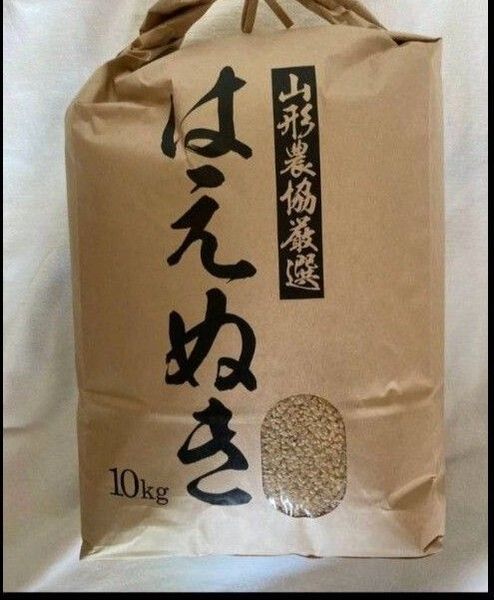 特A 山形県産 はえぬき 玄米 令和6年産 10kg 全国送料無料