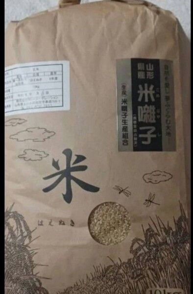 特A 山形県産 はえぬき 玄米 令和6年産 20kg 10kg×2袋 全国送料無料
