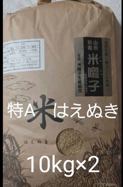 特A 山形県産 はえぬき 玄米 令和6年産 20kg 10kg×2袋 全国送料無料