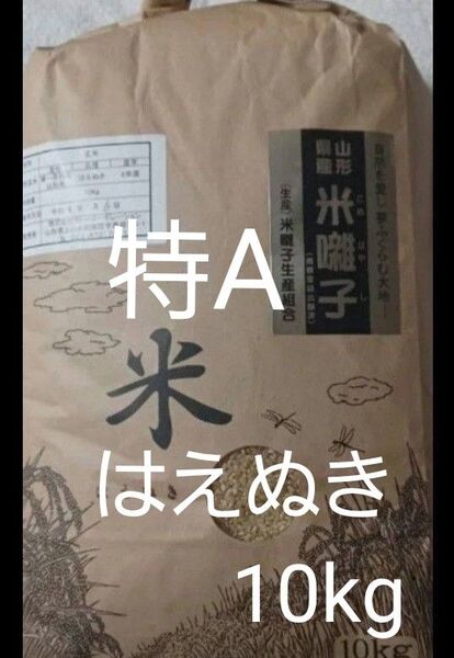 特A 山形県産 はえぬき 玄米 令和6年産 10kg 全国送料無料