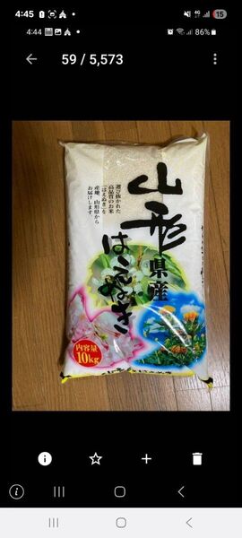 特A 山形県産 はえぬき 玄米 令和6年産 10kg 全国送料無料