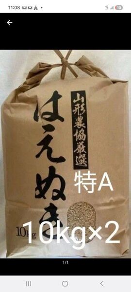 特A 山形県産 はえぬき 玄米 令和6年産 20kg 10kg×2袋 全国送料無料