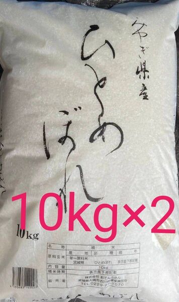宮城県産 ひとめぼれ 白米 20kg (10kg ×2) 令和6年産