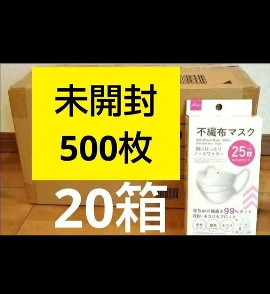【最安値】20箱 500枚 ダイソーマスク 小さめサイズ 箱付き 不織布マスク 花粉症 立体マスク 3Dマスク ⑤