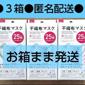 不織布マスク 25枚×3箱 ダイソー 小顔に見えるマスク 立体マスク 花粉症 小さめ 小さい ②