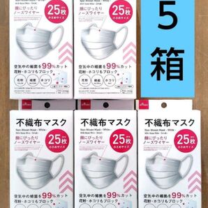 不織布マスク 25枚×5箱 ダイソー 小顔に見えるマスク 立体マスク 小さめ ⑥