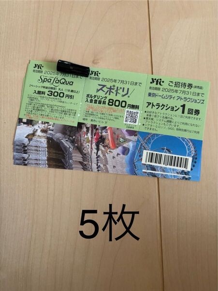 東京ドームシティアトラクションズチケット5枚