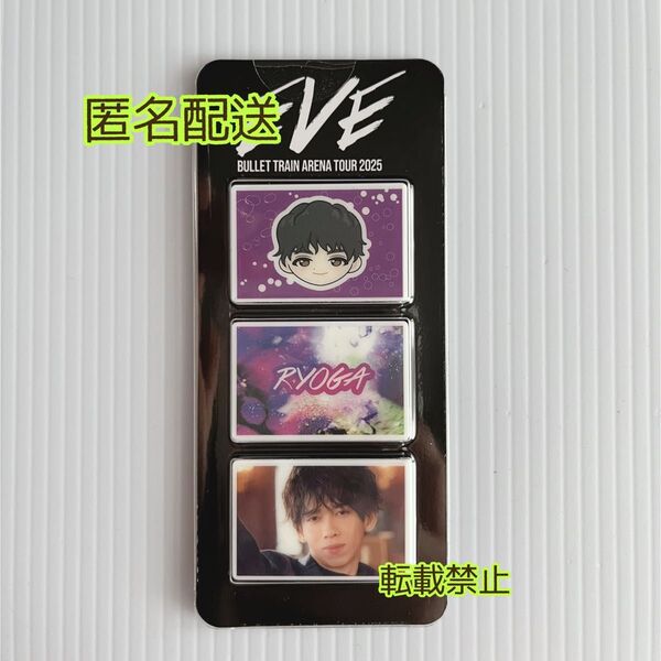 超特急 EVE ツアー グッズ フォトグレイパーツ リョウガ RYOGA
