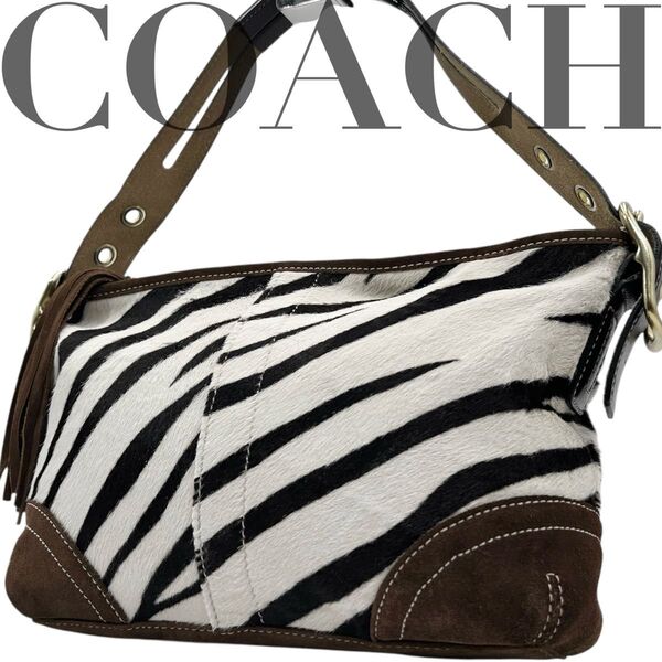 極希少 COACH コーチ ハンドバッグ アクセサリーポーチ ゼブラ柄 アニマル柄 ハラコ スエード 肩掛け 自立