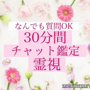 30分間 占い放題 チャット鑑定 霊視鑑定 鑑定書発送