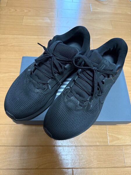 【美品】ナイキ ペガサス40 DV3853-002 NIKE Pegasus 27.5cm ランニングシューズ ジョギング 靴