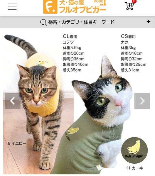 猫の術後服