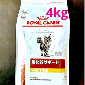 ロイヤルカナン 猫用 消化器サポート可溶性繊維 ドライ 4キロ 新品未開封品 特価品