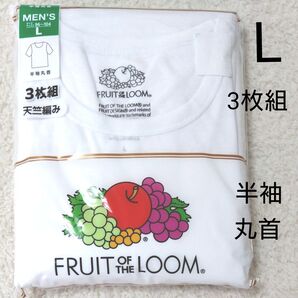 新品 メンズ L 半袖 丸首 肌着 下着 白 3枚組 インナー フルーツオブザルーム