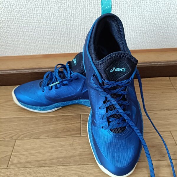 ★未使用・河村着用★asics GLIDE NOVA FF 限定 24.5cm