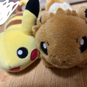 ぬいぐるみ ポケモン ピカチュウ イーブイ