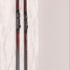 NFT POWER LOOP AXIS アクシス 30号420 2本セット パワーループアクシス 30-420