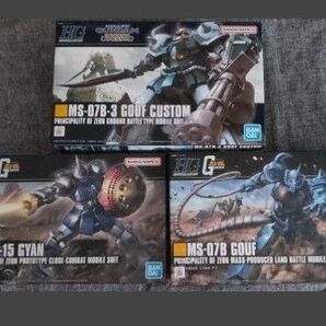 HG MS-07B3 グフカスタム/MS-07B REVIVE グフ / ギャン