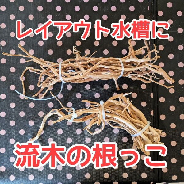 【レイアウト水槽に】流木の根っこ・未使用品