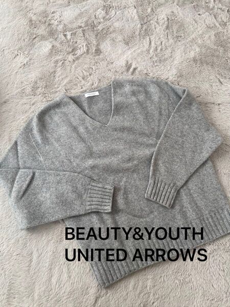 BEAUTY&YOUTH UNITED ARROWS Vネックセーター レディースLサイズ グレー