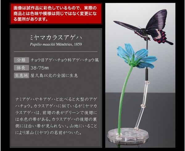 いきもの大図鑑 アドバンス アゲハチョウ ディスプレイスタンドセット