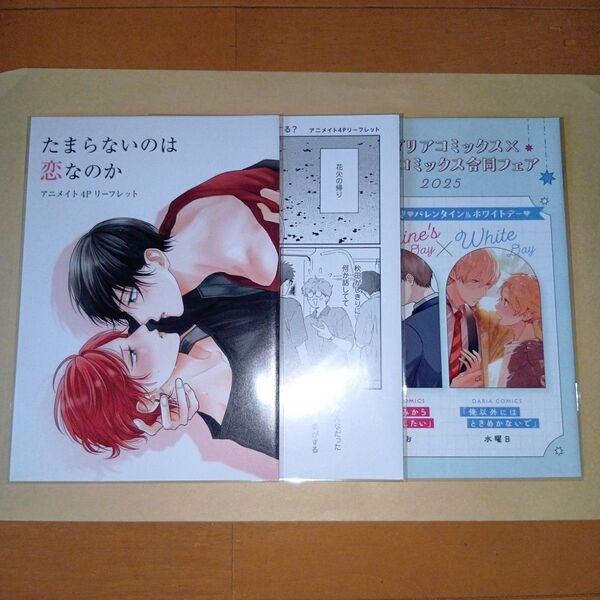 合同フェア2025 小冊子B・アニメイト特典リーフレット たまらないのは恋なのか・俺が好きって言ったらどうする? 特典3つセット