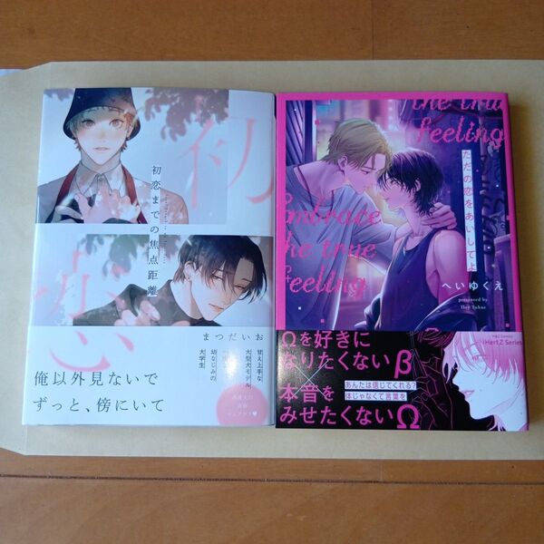 新刊BLコミック ただの恋をあいしてよ へいゆくえ・初恋までの焦点距離 まつだい