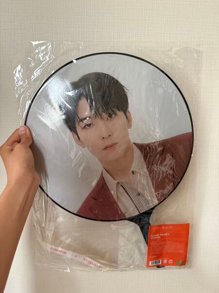 SEVENTEEN セブチ うちわ ウォヌ ビザサン