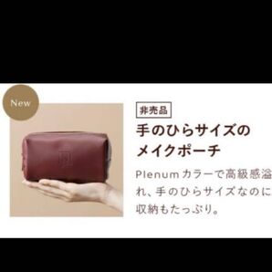 Nオーガニック ポーチ