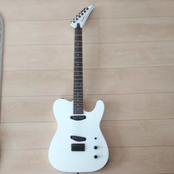 FERNANDES TEJ 2S STANDARD SW ジャンク