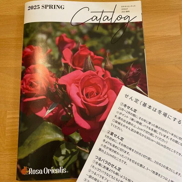 ロサオリエンティス カタログ 2025 春 バラ苗 大苗 バラ 薔薇