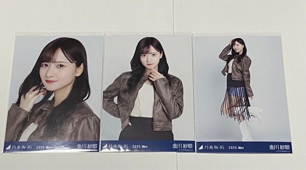 金川紗耶 ボヘミアン 乃木坂46 生写真 コンプ