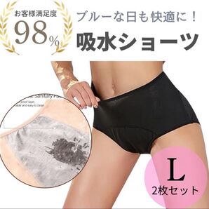吸水 ショーツ ブラック L 2枚セット まとめ売り 下着 生理用