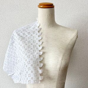 ヨーロッパ製 刺繍レース生地 ハギレ2枚