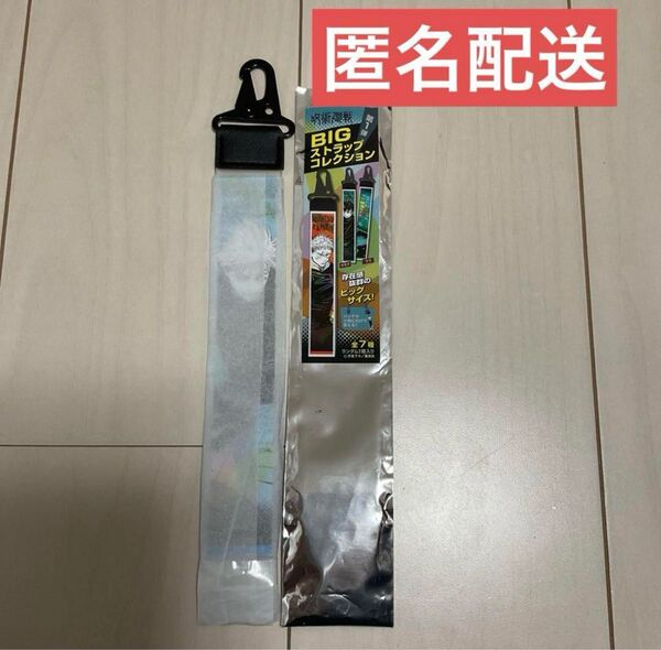 呪術廻戦 五条悟 BIGストラップコレクション 領域展開フェア